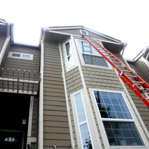 Dry Rot and Siding Repairs